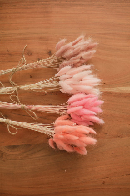 Bunny Tails