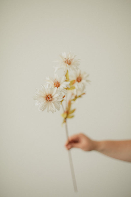 Sunflower Bundle